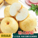 京地达酥梨砀山酥梨 新鲜梨子香梨水果净重8.8斤 单果250g+源头直发