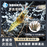 海蕴极鲜【活鲜】鲜活罗氏虾 新鲜罗氏沼虾淡水白脚虾金钱虾烧烤年货春节 超大号 1000g(净重)  12-16只左右