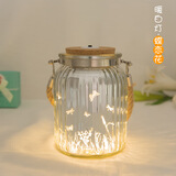 欧斯若 许愿瓶 LED发光星星瓶  DIY装小星星折纸空瓶子 玻璃瓶 夜光瓶 竖条暖白 蝶恋花