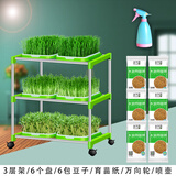 朵咔园艺水培蔬菜豆芽菜发芽盆芽苗菜育苗托盘无土栽培设备豆苗种植芽菜 【双排3层】6加密盘+6纸+壶+轮