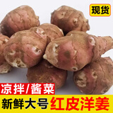 辰实【新货现挖】洋姜新鲜 现挖野鬼子姜菊芋腌菜 生姜不辣蔬菜 5斤【红皮洋姜】大号