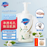 舒肤佳泡沫沐浴露净透毛孔焕活红石榴留香清洁沐浴乳沐浴液家庭装 山茶花香泡沫沐浴露700g