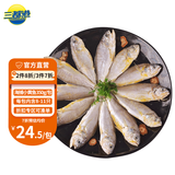 三都港 宁德海捕小黄鱼350g/包【约8-11只】新鲜冷冻海鲜生鲜烧烤食材鱼 海捕小黄鱼350g*1包