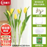 易囍艺 郁金香种球水培盆栽花卉土培室内花绿植盆栽水养植物花卉进口大 黄色郁金香5球+玻璃瓶+石子+营养液