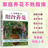 零基础阳台养花 家庭园艺实用宝典 新手四季养花 家居植物实用百科 室内绿植完整手册