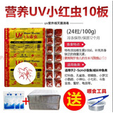 浪花 冷冻红虫冰冻赤红虫牛心汉堡丰年虾干罗汉七彩神仙龙鱼食饲料 10板增体小红虫送1板
