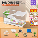 添悦乌龟饲养缸家用带晒台爬台养龟专用箱客厅生态造景塑料小鱼缸耐摔 【中号】+晒台+过滤+绿植