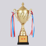英友（ENYOU）金属奖杯定制篮球足球体育比赛年会颁奖学生儿童奖杯 盖形中号