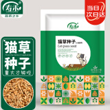 寿禾 猫草小麦草种子猫零食蔬菜籽 潍育中寿猫草(小麦草)大袋种子500g