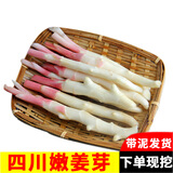 辰实四川嫩姜【现挖现发】嫩仔姜新鲜 子姜红芽姜醋泡姜 3斤嫩姜牙【尝鲜】