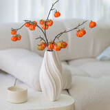 范爷家北欧陶瓷花瓶高级感干花水培鲜花客厅桌面摆件ins风插花器