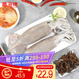 富海锦鲜冻整只鱿鱼500g 2-4条 铁板鱿鱼 火锅烧烤食材 国产海鲜