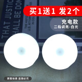 鸿视小夜灯可充电学生宿舍触摸感应小灯卧室睡眠停电应急家用照明灯 【发2个】充电款按按灯-白光二档