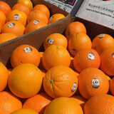 聚享优果美国进口新奇士3107黑标脐橙Sunkist进口橙子甜橙单个170-210克 10个装