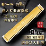 天鹅德国进口音簧天鹅24孔复音口琴成人初学者入门28孔重音专业演奏级 【专业大师调音】28孔金色复音C调+伴奏U盘