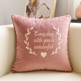 居八佰 轻奢天鹅绒刺绣抱枕靠垫布艺沙发靠枕办公室护腰靠背汽车 珊瑚红(心型刺绣) 45*45cm抱枕套+枕芯