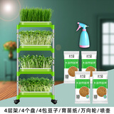 朵咔园艺水培蔬菜豆芽菜发芽盆芽苗菜育苗托盘无土栽培设备豆苗种植芽菜 【基础款4层】4加密盘+4纸+壶+轮