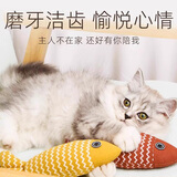 疯狂的主人猫玩具猫咪薄荷仿真鱼逗猫棒自嗨解闷消耗体力磨牙神器猫宠物用品