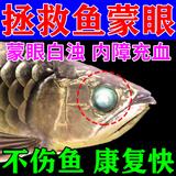 鱼病白眼龙鱼蒙眼专用鱼眼肿胀充血凸护眼宝水霉病乌龟白眼病 一盒装