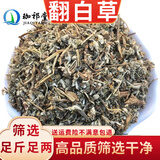 珈祁堂 翻白草中药材2025新货无硫整颗切段带根新晒干货泡水可搭绞股蓝 翻白草250克【新货】