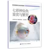 七彩神仙鱼鉴赏与繁育--农民技能提升培训系列教材