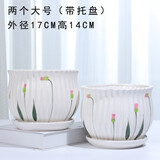 裕轩堂多肉组合随机花盆陶瓷绿萝吊兰室内创意简约多肉大号桌面阳台盆栽 88003草花两个17厘米 小