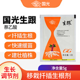 国光生跟20%萘乙酸多肉月季苗木果树扦插移栽生根粉植物生长调节剂