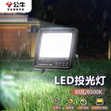 公牛（BULL）LED投光灯路灯庭院灯工地灯露营灯 IP65防水高亮度30W-6500K白光