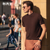 布先生可机洗短袖羊毛T恤男秋冬打底针织衫 嵌线刺绣-雪茄咖 L/175 