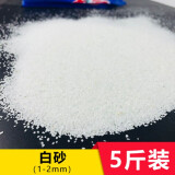 大匠神彩鱼缸底砂鱼缸造景雨花石沙石头装饰铺底石鹅卵石溪流石雨林沙底沙 白砂5斤