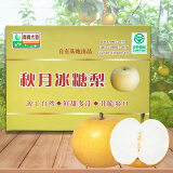 青青大地秋月梨山东秋月冰糖梨 莱阳产地直发当季新鲜水果礼盒装 颗颗测糖 秋月梨【香甜多汁 细腻无渣】 4斤（实惠装）