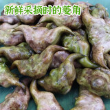 洪湖农家 新鲜老菱角 现摘现发 湖北特产  新鲜蔬菜 新鲜老菱角5斤（发顺丰）