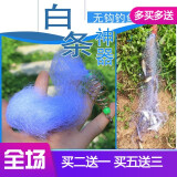 凤灵王新型霸王捆爆炸网无钩鱼网白条鲫鱼网钓鱼神器 5目钓3两左右的鱼 （无配件）