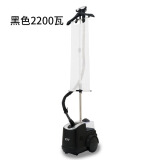 域桥 挂烫机家用烫衣服商用服装店蒸汽大功率熨烫机立式大蒸汽2000W 黑色2200瓦+熨衣布