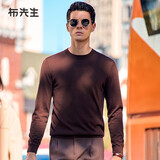 布先生佟大为明星同款春秋可机洗毛T羊毛衫男士毛衣纯色针织打底衫 【圆·领】雪茄咖 L /175
