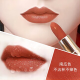 LANYI   奥· 迪口红不脱色不掉色不沾杯不脱色豆沙色同款雨衣哑光 509#南瓜色