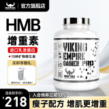 北欧海盗VIKING增肌粉  乳清蛋白粉瘦人增肌增重蛋白粉健身人士补剂运动 增肌粉4磅 巧克力味