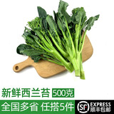 绿食者新鲜西兰苔500g  时令蔬菜兰花苔 西蓝苔青花菜清甜脆嫩炒菜食材