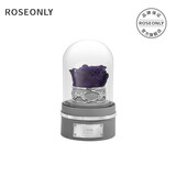 諾誓ROSEONLY星座独角兽抱抱龙永生花玫瑰花音乐球女友生日情人节礼物 天秤座-音乐球-钟罩-守护色