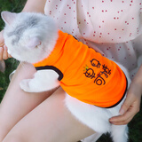 唐宠 猫咪衣服夏猫衣服背心卡通春夏季薄款小奶猫猫衣服防掉毛夏 单身可撩 XL(建议9-15斤)