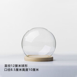 芷尧定制 永生花玻璃罩透明 礼物展示盒 摆件diy干花圆形防尘罩工艺品 球形【12厘米】+原木平底