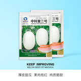 中科茂华 瓜果种子中科蜜二号厚皮甜瓜种子白皮白肉新疆脆梨香瓜种子甜脆 中科蜜三号 甜瓜种子200粒