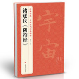 褚遂良《阴符经》中国历代经典碑帖唐真迹原大字黄帝书法临摹正楷书籍练字帖入门小楷集字大学生杨建飞主编