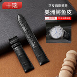 十瑞（SHIRUI） 美洲双面鳄鱼皮表带男真皮适用江诗丹顿积家万国浪琴欧米茄表带 黑色表带【不带表扣】 20mm