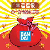 万代（BANDAI） 幸运福袋 高达 拼装模型玩具 新手大福袋（MG/RG/HG/SD/FG）