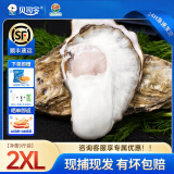 贝司令乳山生蚝鲜活牡蛎贝类海鲜水产露营烧烤食材 2XL 净重9斤 32-38只