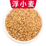 珈祁堂 浮小麦中药材浮麦小麦仁干瘪小麦米 浮小麦1000克【新货】