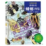 神秘的蟑螂图鉴-生命的力量(精装儿童绘本 培养孩子对生物多样性的思考，对生命的敬畏。自然科学绘本大师、博物学家盛口满全新力作。附赠大幅精美导读)