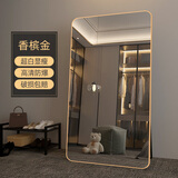 新艺鸿运（XINYIHONGYUN） 大镜子全身镜落地镜贴墙舞蹈镜家用穿衣镜服装店试衣镜立体镜 香槟金60*165【高清超白显瘦】