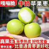 千朵云西双版纳苹果枣贵妃牛奶枣 牛奶大青枣果王级青枣 6斤单果80g+礼盒装